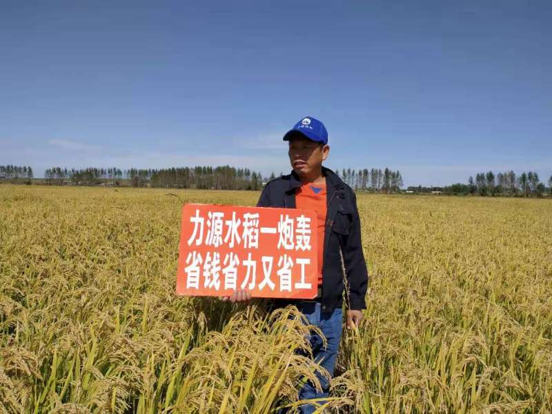 &#38886;&#24503;&#32593;&#31449;&#45;&#40;&#20013;&#22269;&#41;&#26377;&#38480;&#36131;&#20219;&#38886;&#24503;&#32593;&#31449;